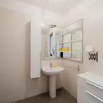 Le Scaje
